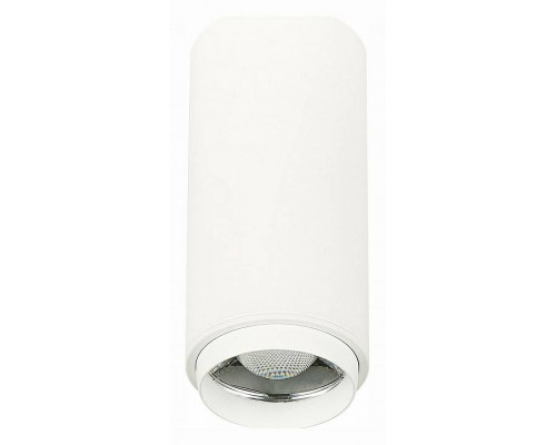 Накладной светильник ST-Luce Zoom ST600.542.10