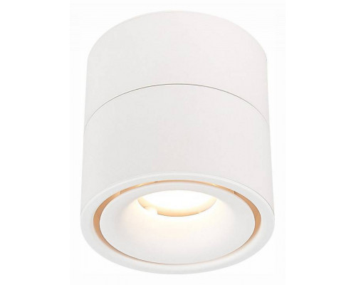 Светильник на штанге ST-Luce ST652 ST652.532.12