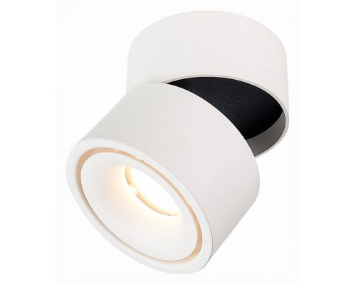 Светильник на штанге ST-Luce ST652 ST652.532.12
