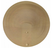 Накладной светильник ST-Luce Fossil SL6900.501.16