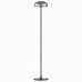 Торшер ST-Luce Lacio SL6002.405.01