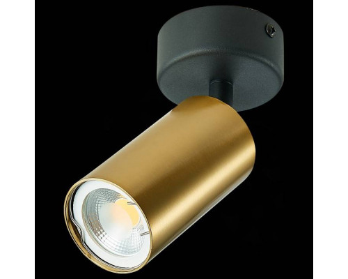 Спот ST-Luce ST303 1xGU10 ST303.202.01