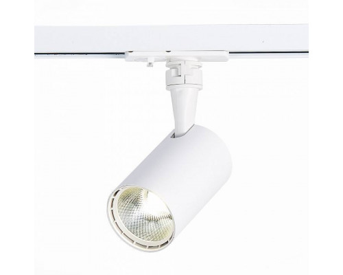 Светильник на штанге ST-Luce Cami ST351.536.10.24