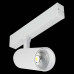 Светильник на штанге ST-Luce SKYLINE 220 ST660.596.20H