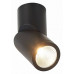Светильник на штанге ST-Luce ST650 ST650.442.10
