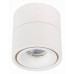 Светильник на штанге ST-Luce ST652 ST652.532.12