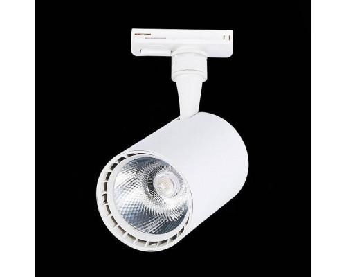 Светильник на штанге ST-Luce Cami ST351.536.15.24