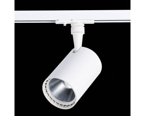 Светильник на штанге ST-Luce Cami ST351.536.15.24