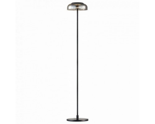 Торшер ST-Luce Lacio SL6002.405.01